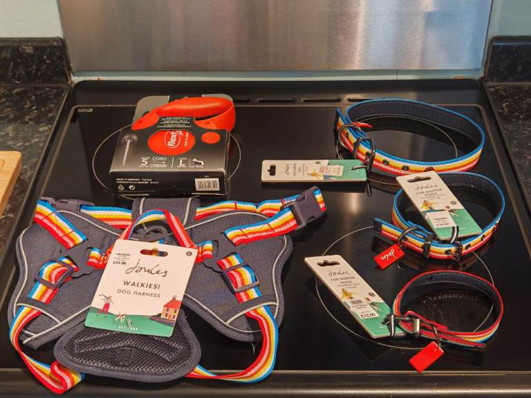 Joules rainbow dog harness lead and collars new