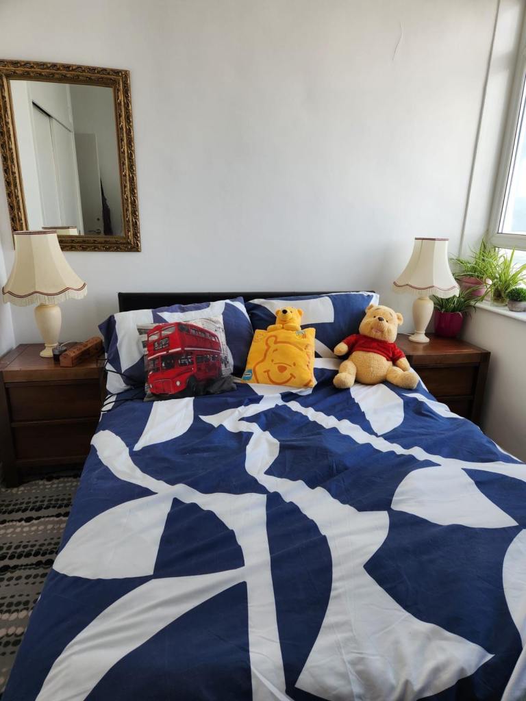 Room for rent only students