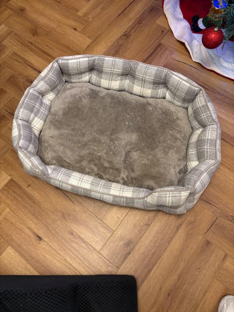 Large dog bed 