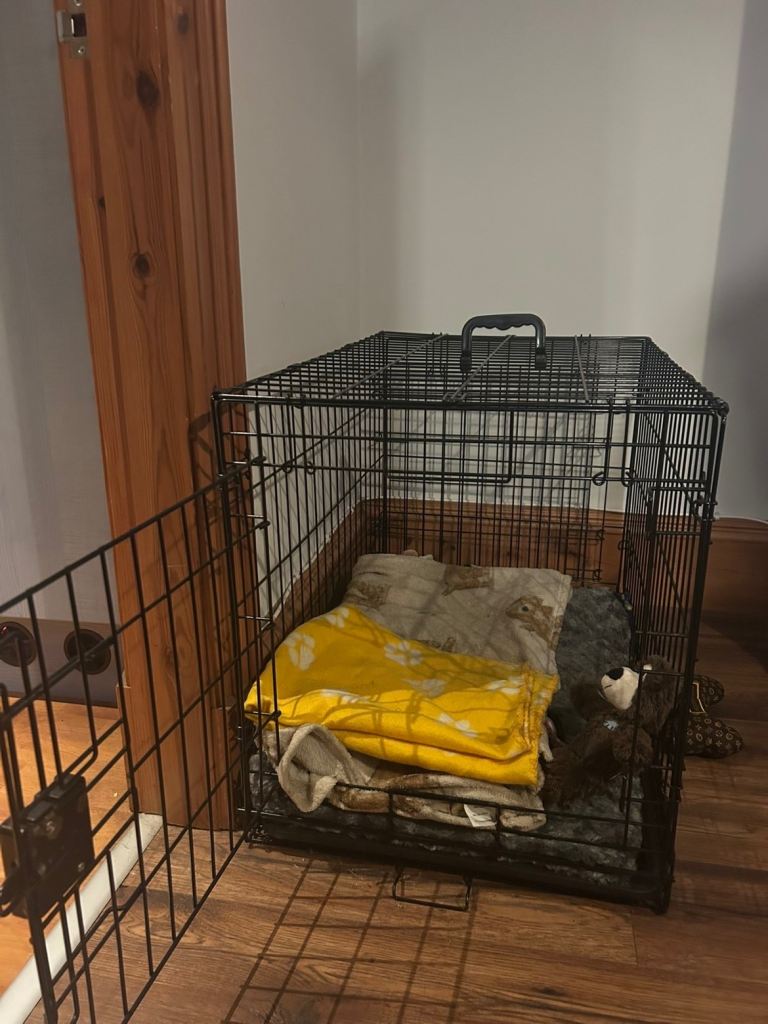 Dog cage 