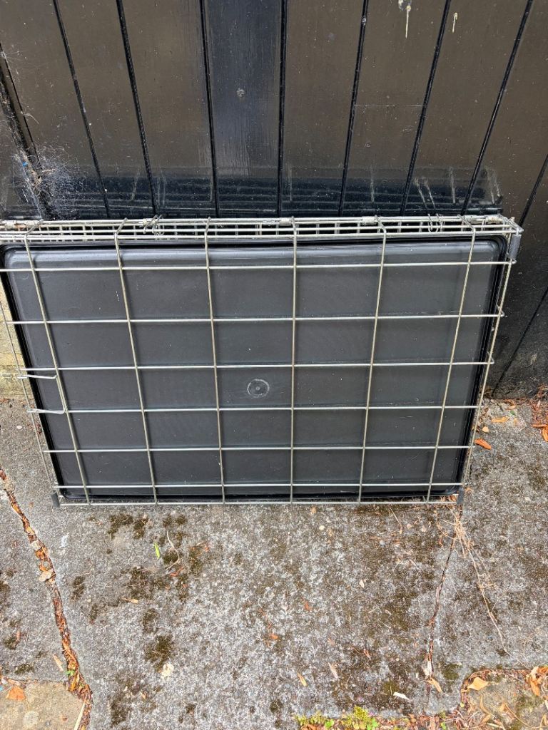 Large dog crate