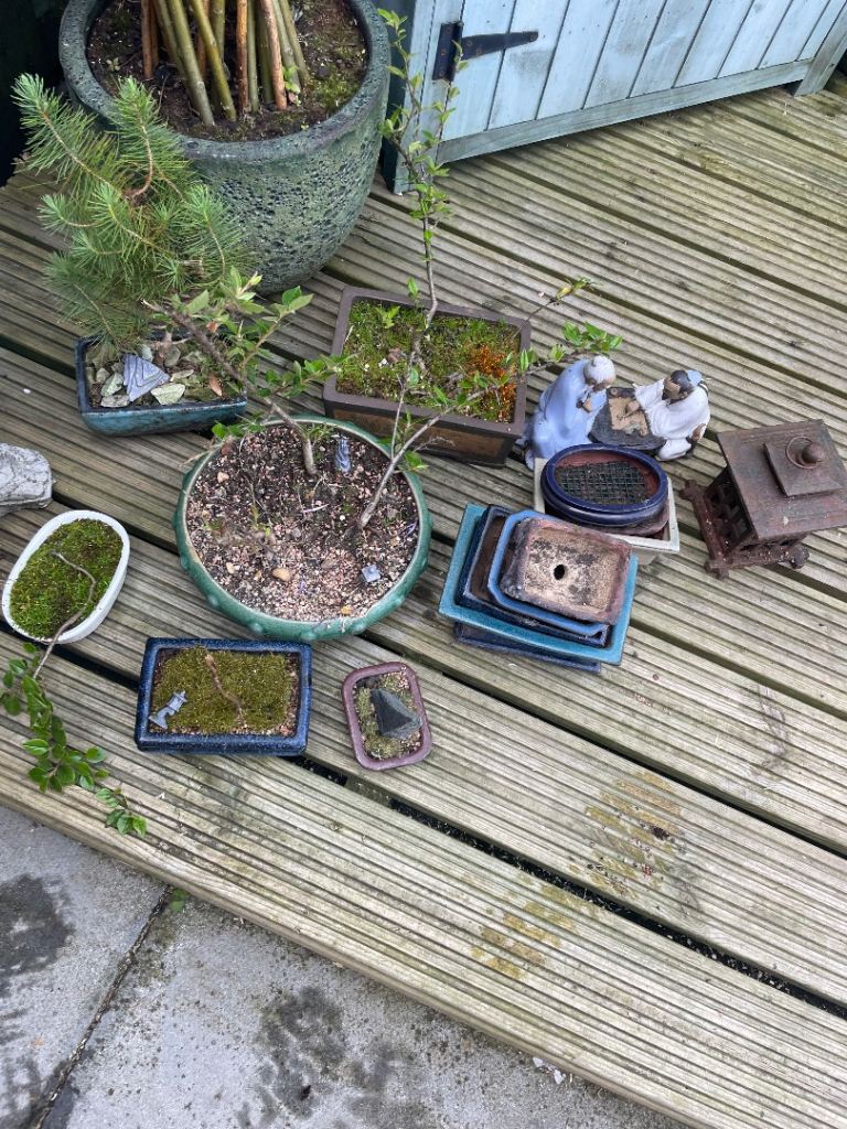 Bonsai Pots and Figurines – Mixed Set, Good Condition