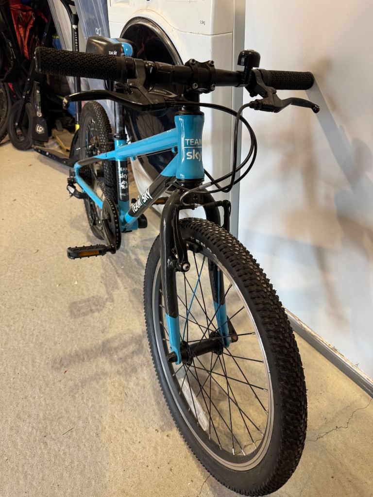 Frog 52 Team Sky Bike