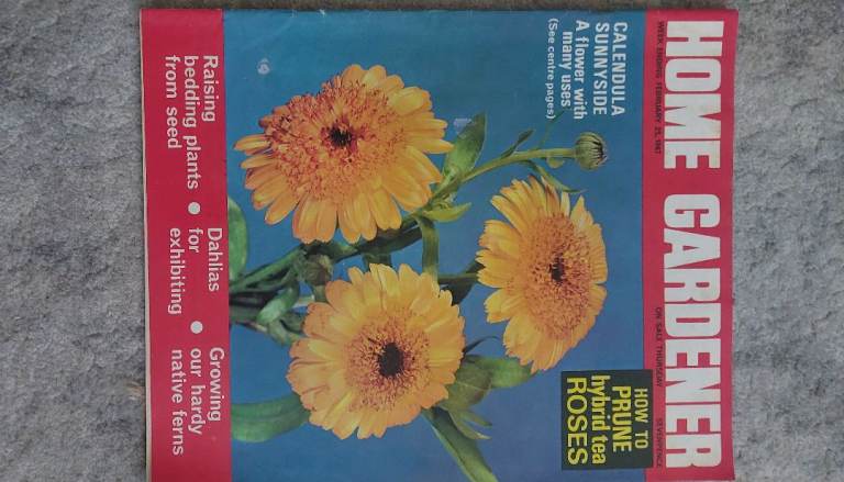 Vintage Home Gardener Magazine - Gardening Tips and Guides