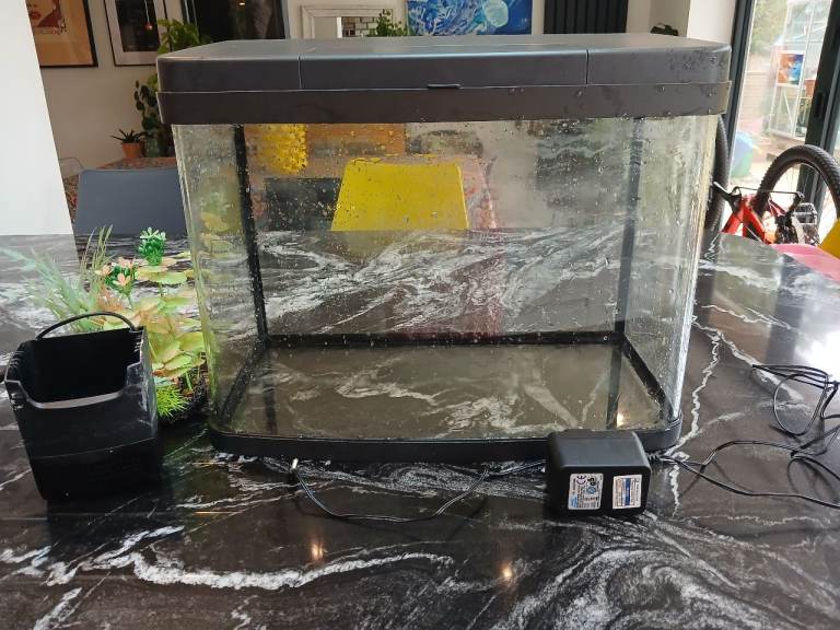  fishtank 