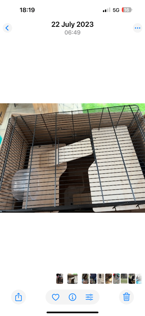Hamster Cage