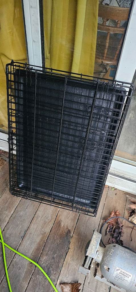 Collapsible dog crate for small to medium dogs