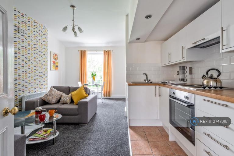 1 bedroom flat in Barbourne Road, Worcester, WR1 (1 bed) (#2747316)