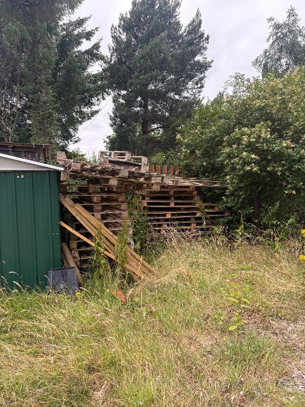 Pallets and trampoline 