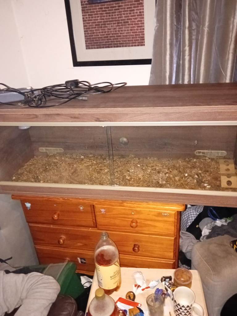 Reptile vivarium 