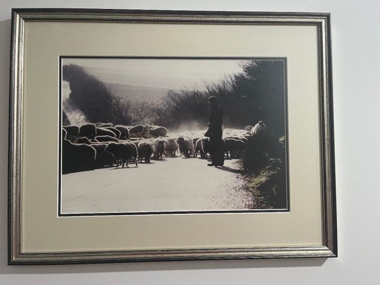 Atmospheric framed Photo of Farmer & his sheep 