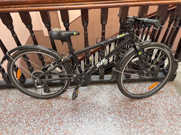 Kids frog bike