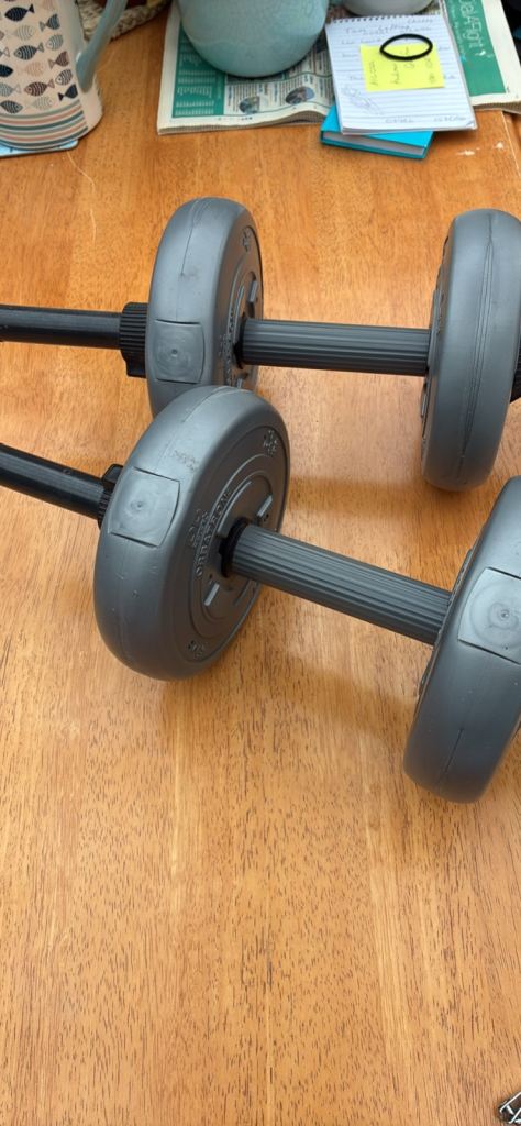 Two hand held dumb bells