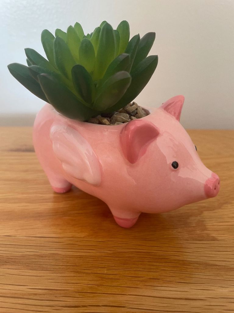 Cute ceramic pig with faux plant