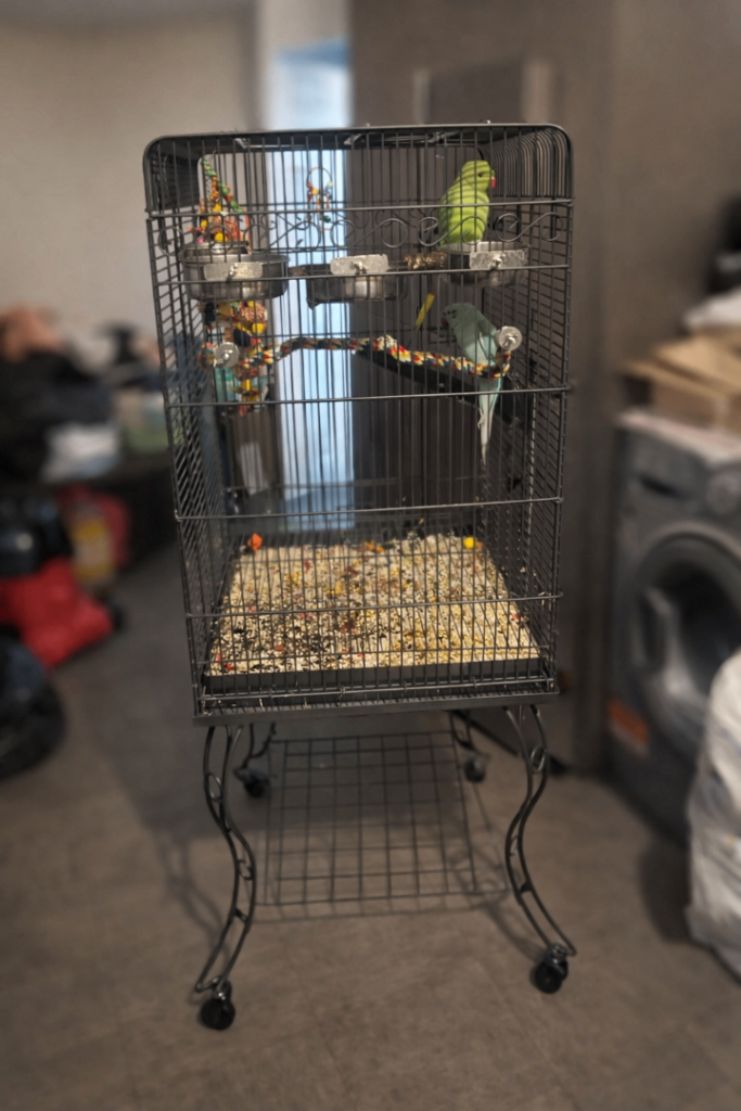 Parrot cage