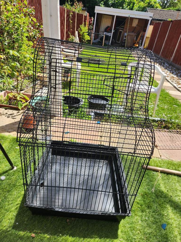 Bird 🐦 Cage in Good Condition 