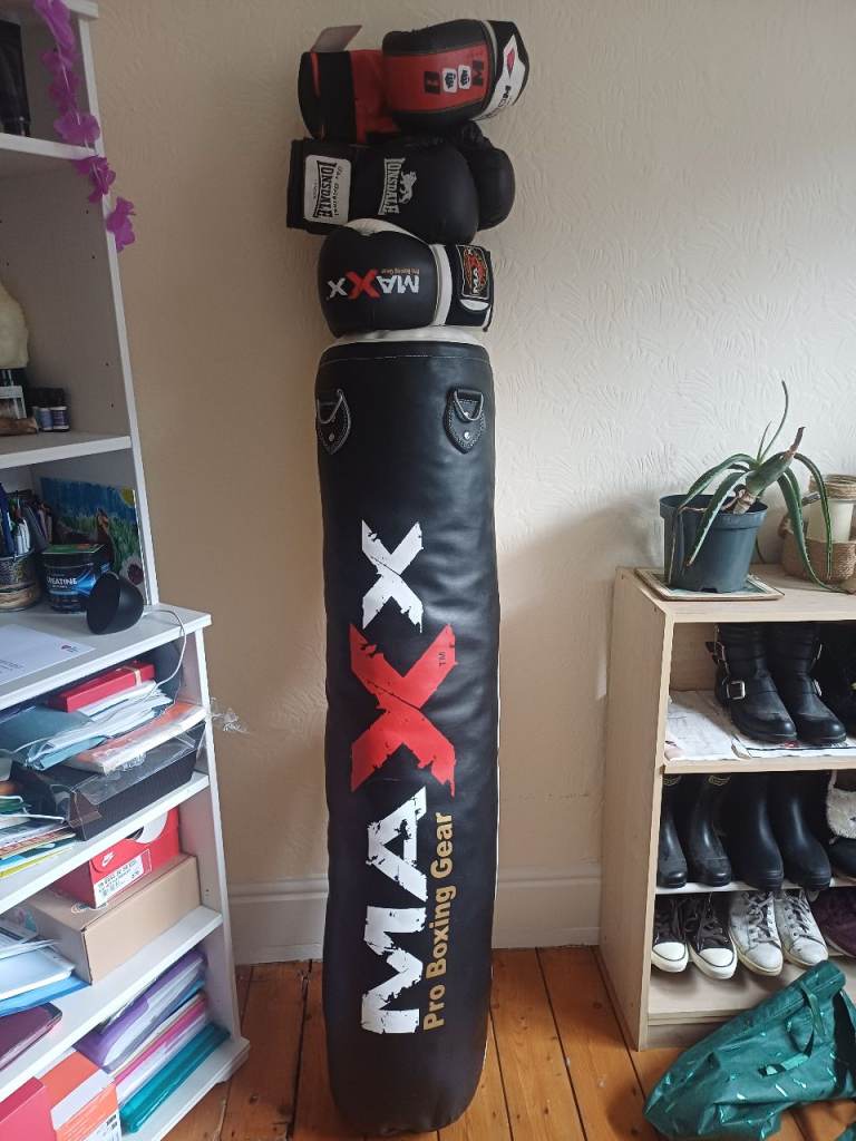 Punch Bag (Boxing) and Gloves
