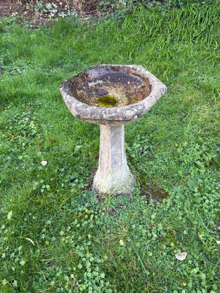 image for Bird Bath 