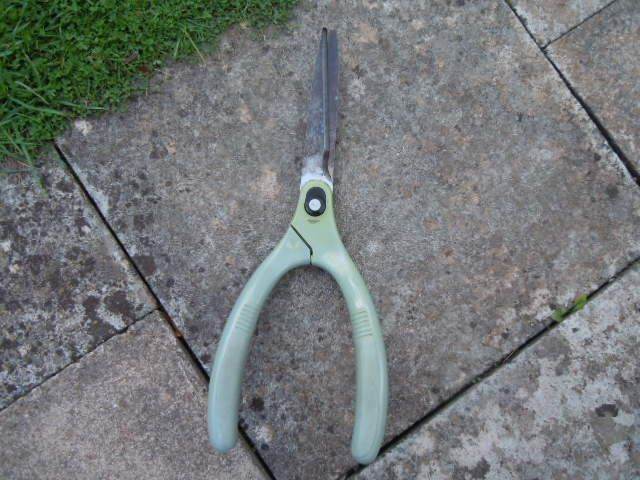 image for Free Wilkinson shears