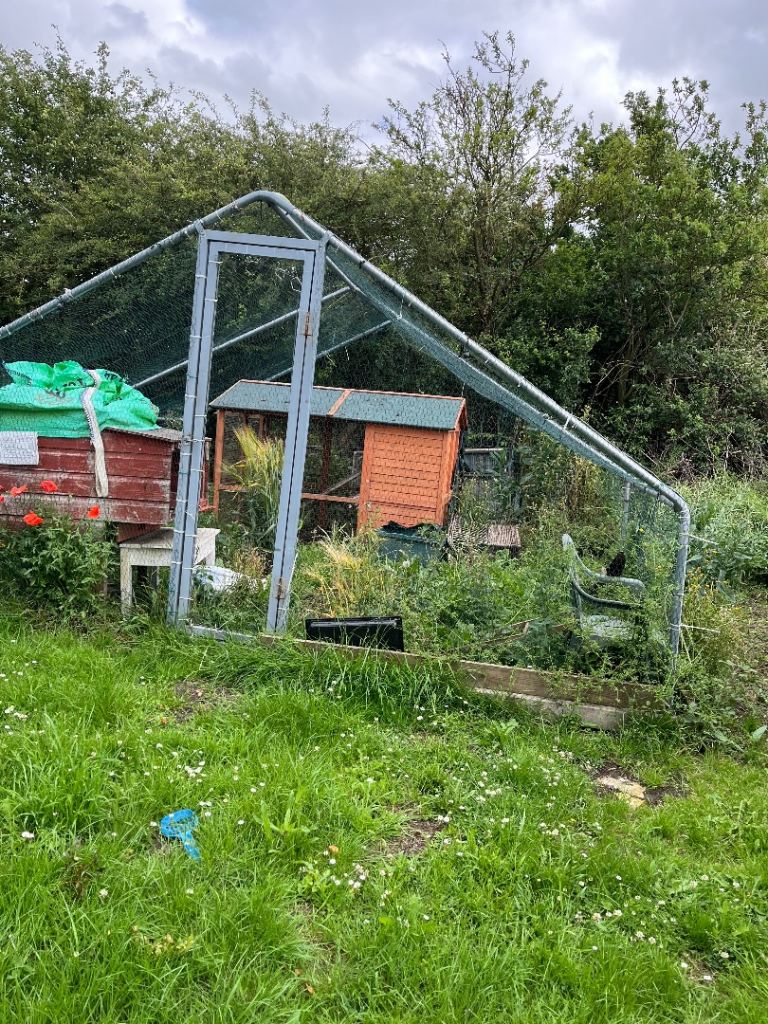 Chicken run