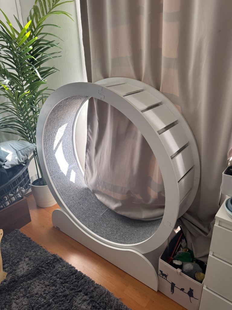 Cat wheel 