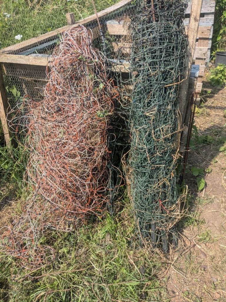 Electric poultry fencing 
