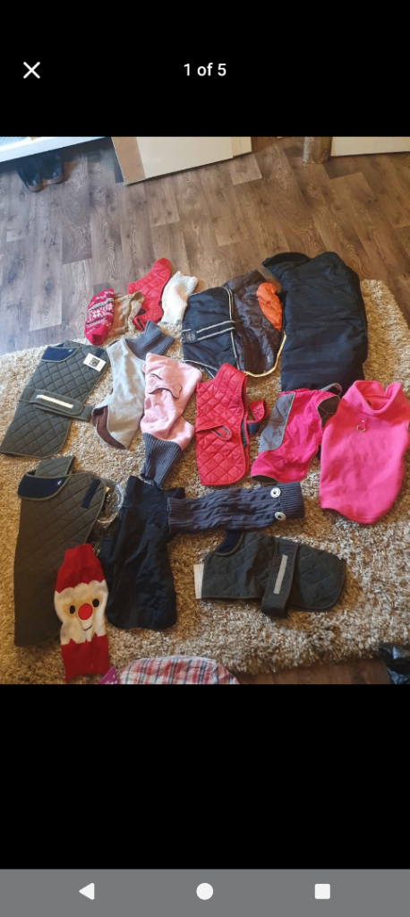Dog coats 