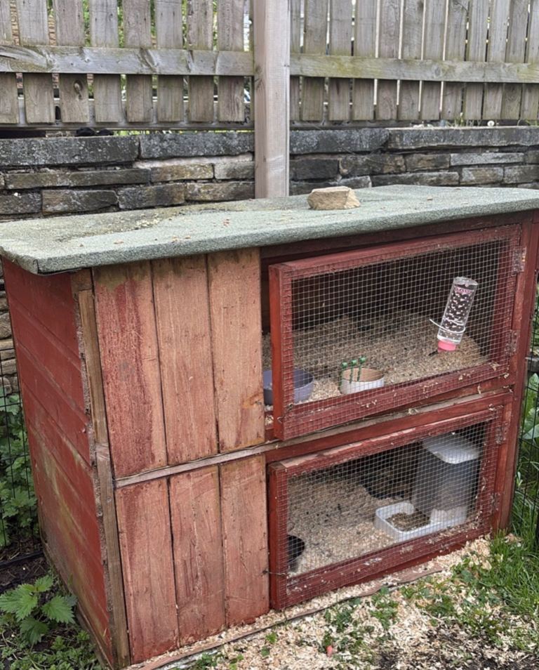 Rabbit hutch for sale 