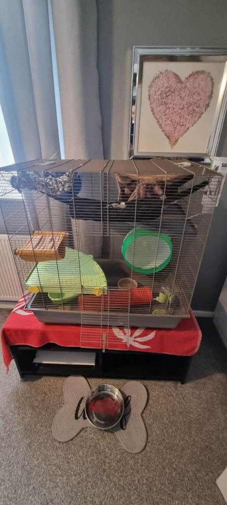 LARGE CAGE, RATS, BIRDS, CHINCHILLA 