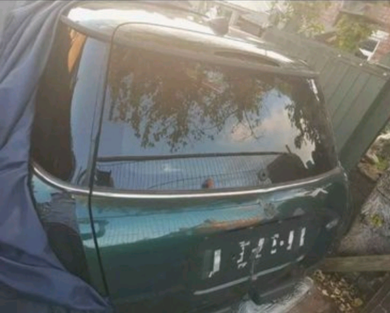 Mini one tailgate complete  