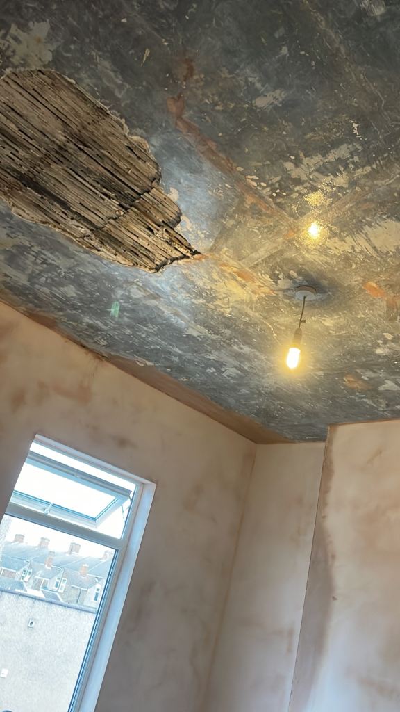 Renovation services 