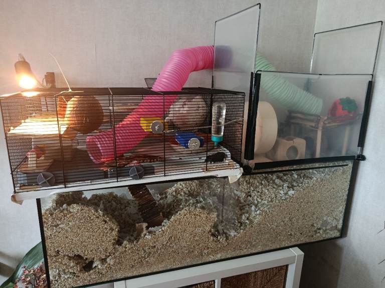 Hamster cage / gerbil cage full set up