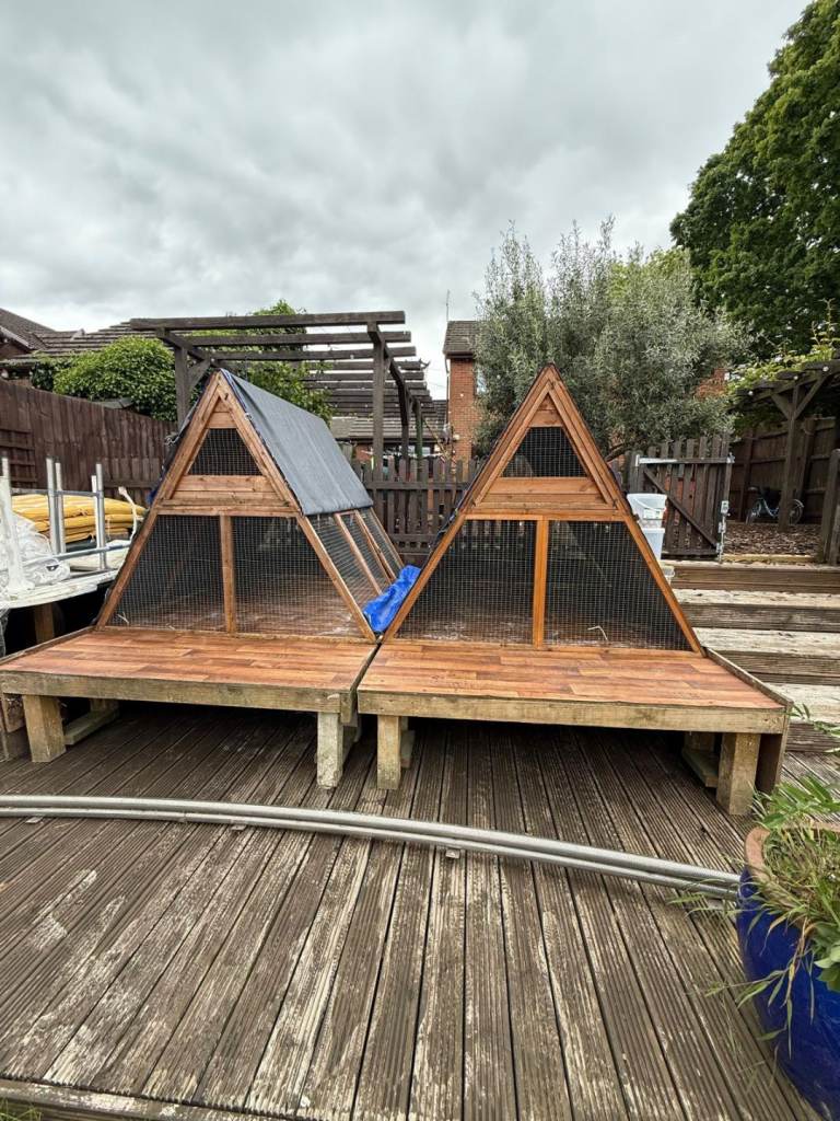 Large chicken coops 