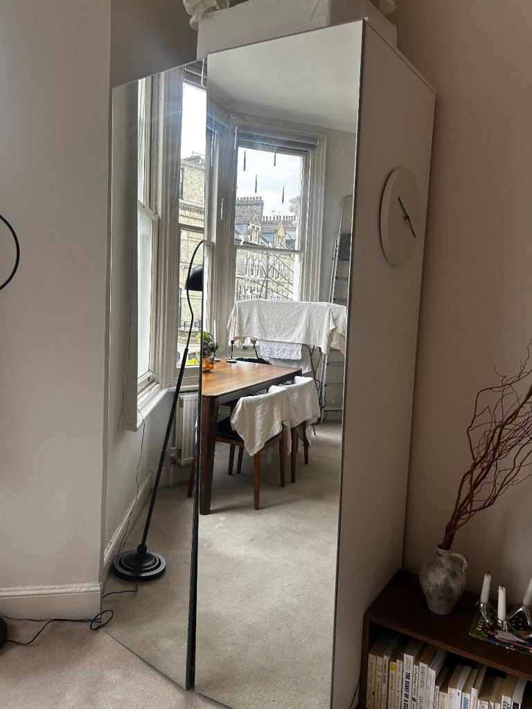 Mirror wardrobe idea 