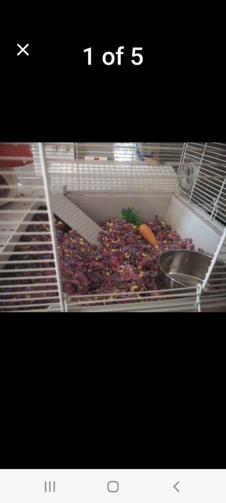 Hamster cage 