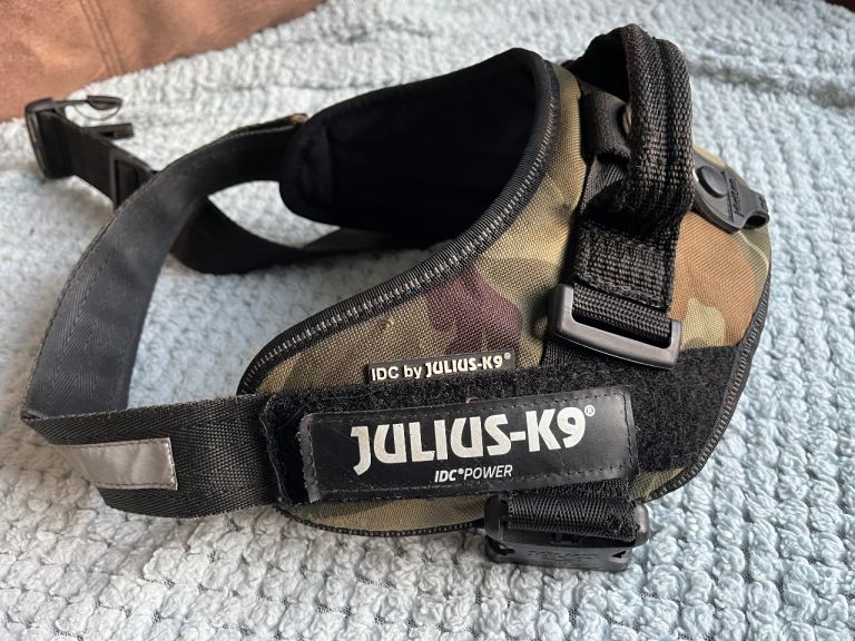 Julius -K9 dog walking harness 
