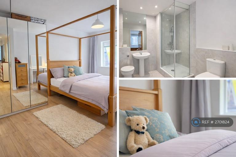 1 bedroom in Chambers Street, London, SE16 (#2701824)