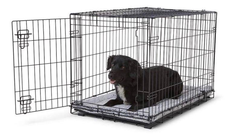 Pets at Home Single Door Folding Medium Pet Crate