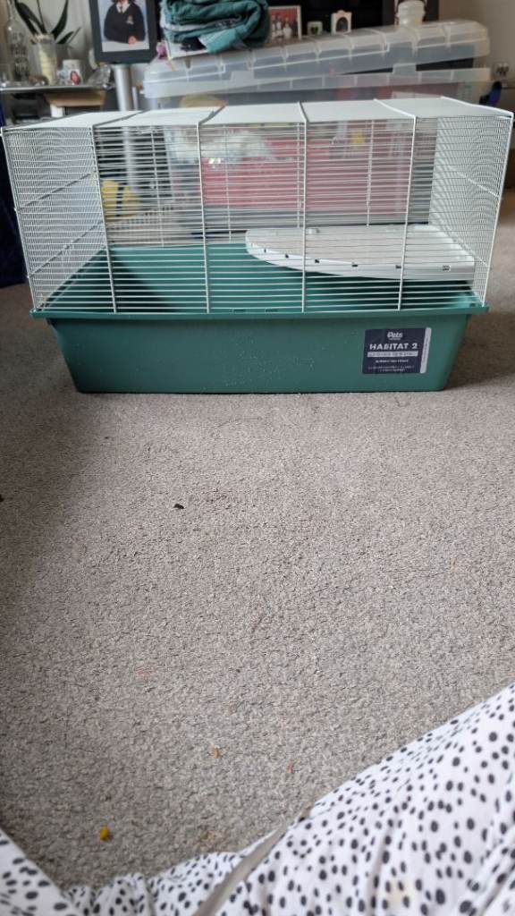 Hamster cage 