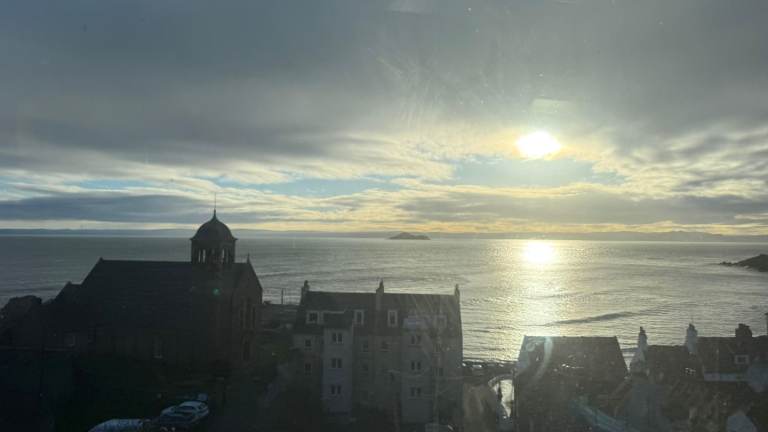 Looking for a secluded house to rent that needs work..