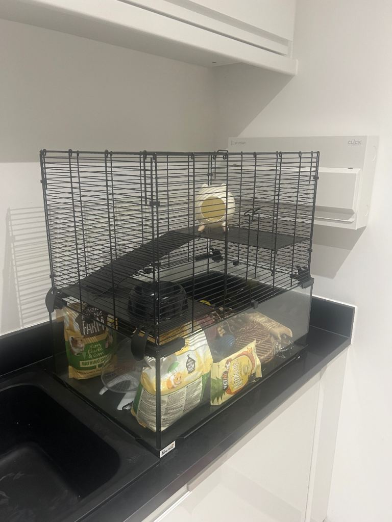 Large hamster cage and accessories 