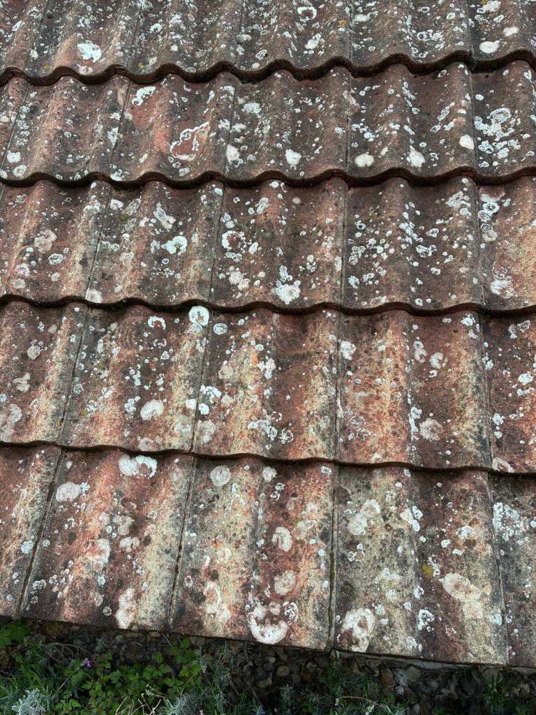 Roof tiles
