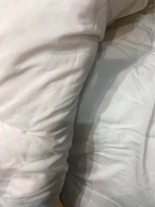 Single Winter duvet and 2 pillows - £9 (Wallisdown)