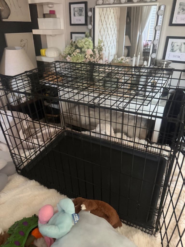 Medium dog cage as new