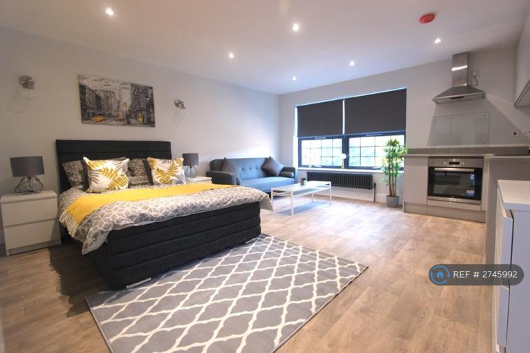 Studio flat in Alma Street, Luton, LU1 (#2745992)
