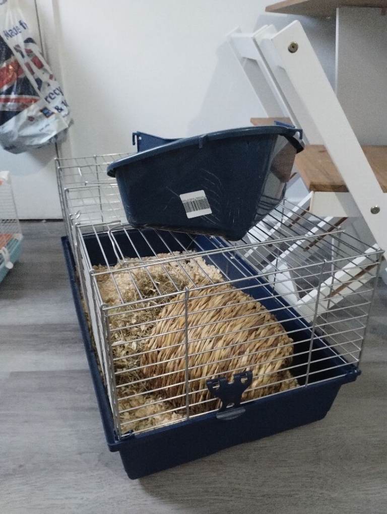 Like new used just one day 