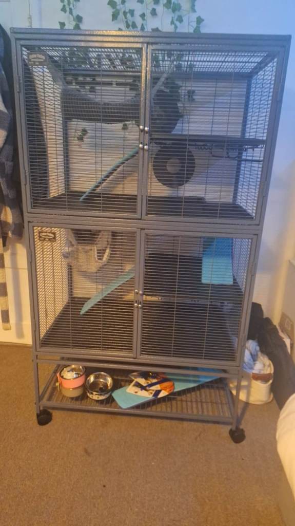 Critter nation cage FOR SALE