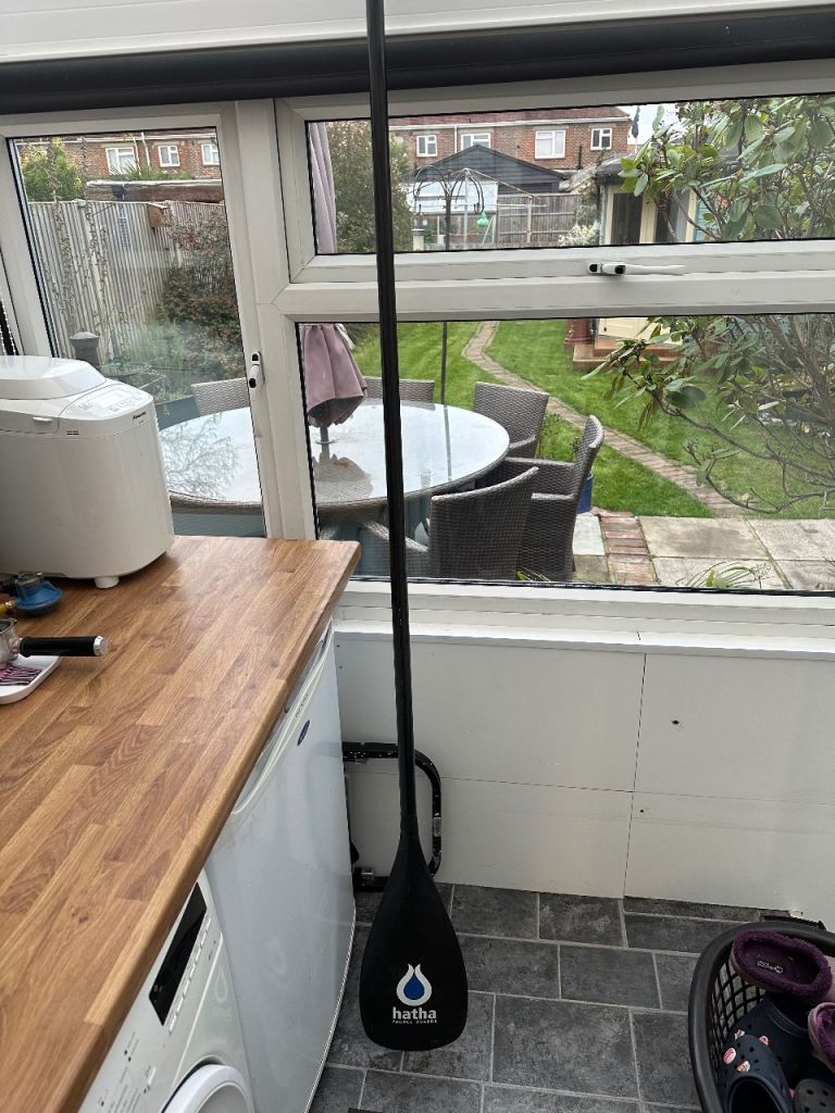 Carbon paddle paddle board