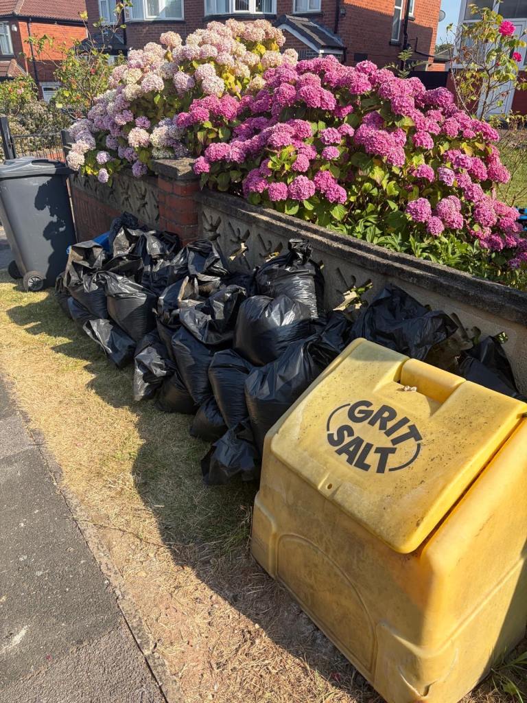 Free Soil in bags