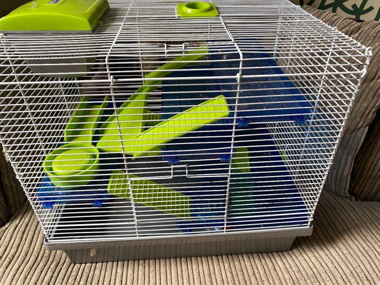 Hamster hutch